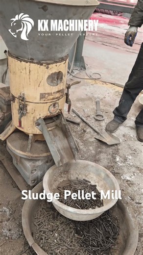Biomass Waste Sludge Pellet Machine for High Efficiency Waste Sludge Pellet Mill #pelletmachine