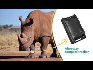 Abeeway Compact Tracker, solution for wild animals, cattle track and trace over long distances
