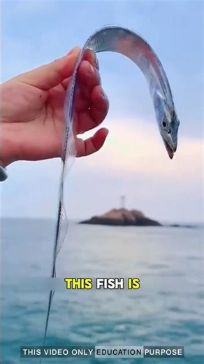 caught a strange-looking fish: #fishing #viralvideo