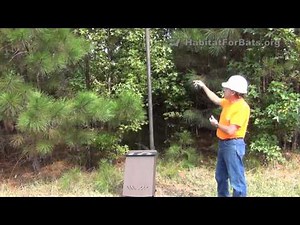 Bat House Placement with Jim Kennedy - 1