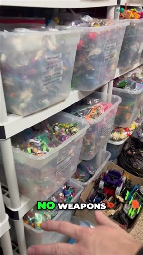 Sorting Turtles: Complete Collection Showcase! #shorts