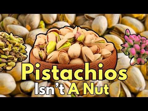 Pistachios: Not a Nut, Not a Fruit… So What Exactly Pistachios Are?