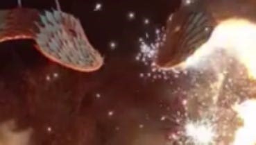 Watch Champ, the Lake Champlain monster, ablaze for New Year's Eve