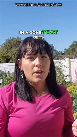 Maximize Your Harvest: Tips for Growing Kale & Mustard Greens