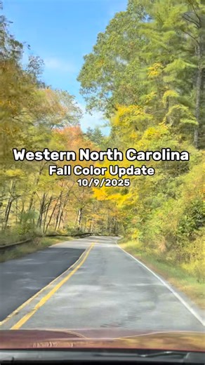 7.1K views · 421 reactions | Western North Carolina Fall Color Update ️ 10/9/2025  Cashiers/Highlands/Franklin  @carlnctripping #nc #northcarolina #visitnc @discoverjacksonnc | NC Tripping | Facebook