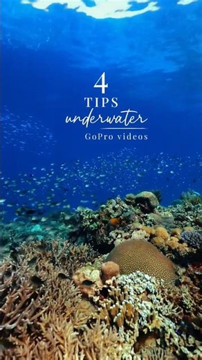 4 Tips for underwater GoPro Videos 🤿🐠 #goprotravel #travel #oceanlovers #travelphotography #ocean