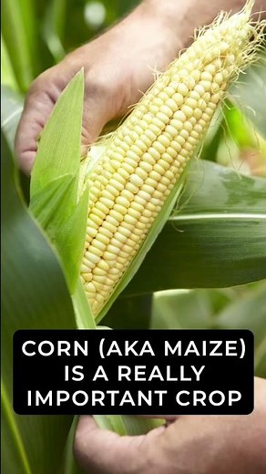 It has the juice — and it’s at risk