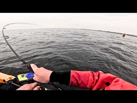 Some WEIRD Spring Behavior From These Fish! Western LI Sound Fishing