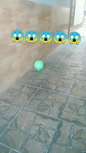 Davi Sonic no TikTok