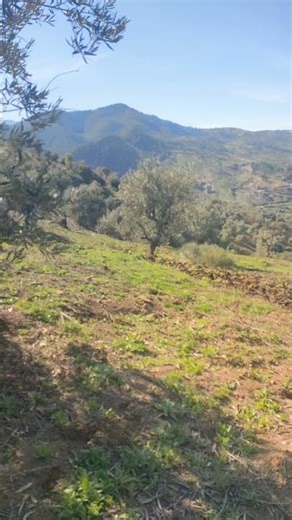 La terre en Kabylie n’est pas un travail… c’est une passion”