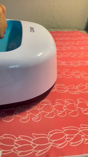 If I could speed up my ironing time 10x like this reel imagine how much time I’d save. 🫣 the best method I’ve found is to use a normal iron to secure the interfacing and avoid wrinkles, then go in with the large iron to add weight and set the glue dots. #sew #etsy #etsyshop #sewing #pikake #puakenikeniprint #tote #bag #purse #hawaiianprint #hi #hawaii #sewingproject #aloha #handmade #zipperedtote #zipperedbag #handmadeinhawaii #puakenikeni #puakenikenitote #puakenikenibag #palaka #palakabag #pa