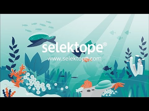 Fascinating facts about barnacles: how they attach to ship hulls?