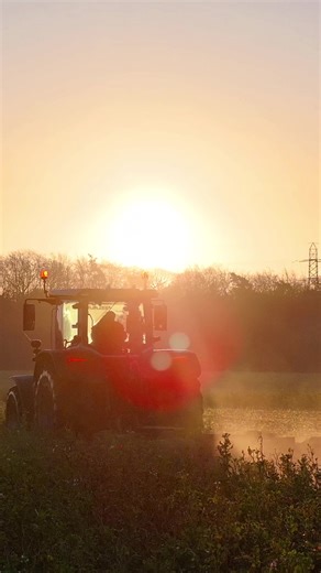 Embracing the Arrival of Spring: A New Beginning