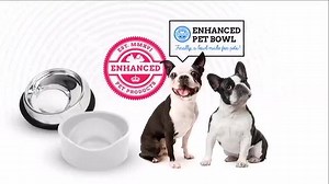 38K views · 450 reactions | Boston Terriers are Loving The Enhanced Pet Bowl! Less Mess, Less Gas and Better Digestion! Use Discount code "Enhanced" to get 10% off your purchase. | Enhanced Pet Products | Facebook