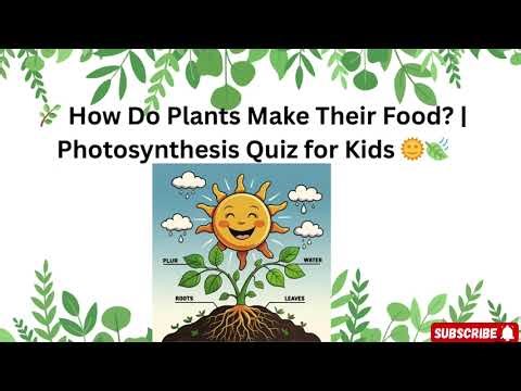 🌿 Photosynthesis Quiz for Kids | How Plants Make Food 🌞 | Fun Science Questions & Answers!