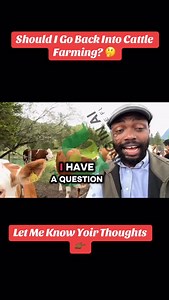 88 reactions · 26 comments | The breeds of cattle I’m seeing here in Germany  are super amazing!! Should we go back into cattle farming? #FarmingInAfrica #semanhyiafarms #livestockfarming #livestock #livestockfeed #cattlefarming #farmmanagement #silage #hay | Farming In Africa | Facebook