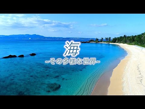 一家に1枚「海」ショートムービー