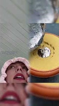 Mit Valeria legt man sich nicht an 😂👍