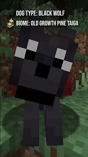 Where To Find The New Wolfs in Minecraft Java/ Bedrock (Minecraft Dog Update!) #minecraft