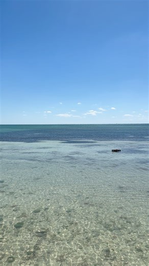 19K views · 266 reactions | Ever catch a square grouper? Happy 420! #420 #floridakeyslife #keywest #fishing | Howard Livingston and The Mile Marker 24 Band | Facebook