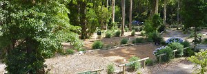 South Coast Camping Ground near Batemans Bay NSW