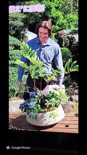 庭師の村雨先生は、不思議な寄せ植えを作成。前方に水ゴケを配置、無のスペース(庭？)を表現。皆さん真似して、テキストもよろしくお願いしま〜す #趣味の園芸 #山寺