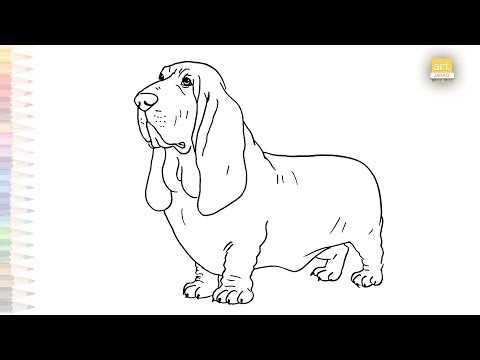 Basset Hound drawings | Pet animal sketches | How to draw A Basset Hound dog step by step #artjanag