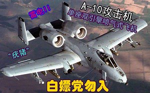坦克的终极噩梦—A10攻击机！配备最强GAU-8机炮，立下战功无数