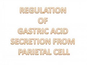 Gastric Acid Secretion Physiology Animation: Video