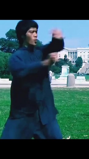 Nice tribute to Bruce Lee | All About Fight