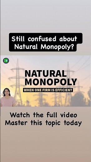 Why One Firm Can Be Efficient | Natural Monopoly (Economics)