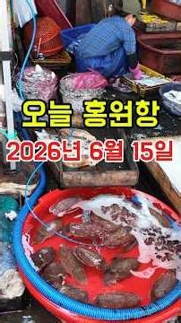 오늘 홍원항 2026년 6월 15일/#홍원항, #꽃게, #갑오징어, #서천, #마량리, #여행, #브이로그, #사이다썰, #유머, #갑질참교육, #갑질, #현실공감.