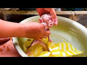 Sweet Baby Monkey Taking a Bath | Cute Baby Monkey Bath Time So Adorable! 🐵🫧