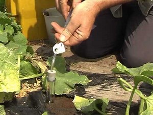 Suction lysimeter installation & use - by MMM tech support