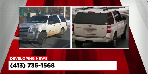 Springfield Police look for hit and run suspect