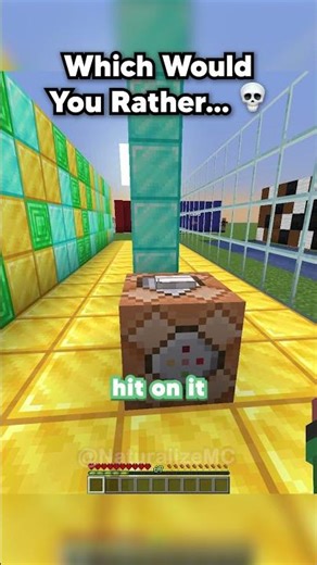 Minecraft: Pick the Path THE SOUND 😆