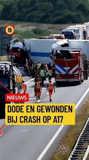 Major crash on A17: 1 dead, multiple injured | Omroep Brabant