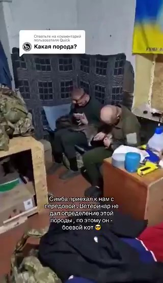 #Ukraine: 12. UA troops on feeding duty on the frontline. And at #Mykolaiv, the kids got their McDonald's back ( I have only eaten in 1 once!). https://t.co/Dp6ooOjNZS https://t.co/iigGjU4n7j