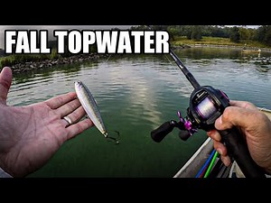 Topwater Fishing for Fall Bass (KVD Sexy Dawg Walking Bait)