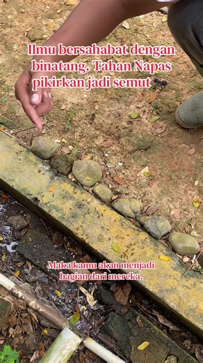 Ilmu Bersahabat dengan Binatang: Tips dari Pak Bowo