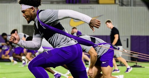 LSU 2026 spring practice preview: S