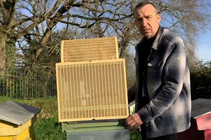 Hornet Trap’Er, il invente un piège redoutablement efficace « 1200 frelons asiatiques en 12 mois »