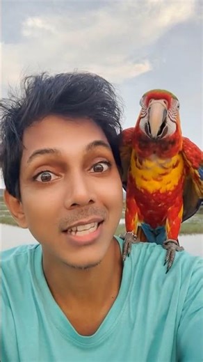 "Meet My Adorable Friend Bird: The Ultimate Companion Every Pet Lover Needs!" 📸🐦✨