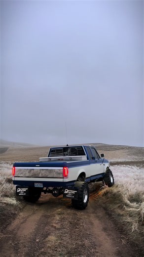 Brushgaurd? #obs #Ford #f150 #fyp #90s | Ford F150