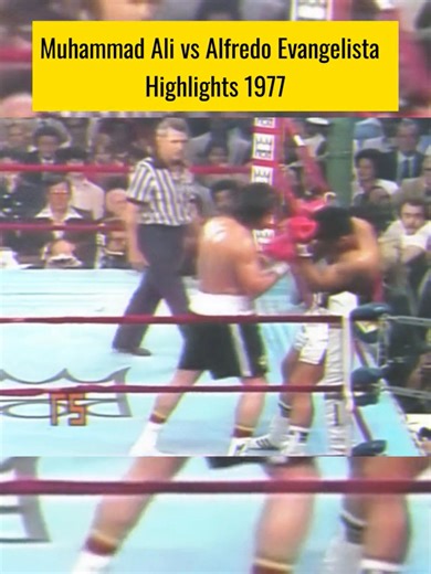 785K views · 5.6K reactions | Muhammad Ali vs Alfredo Evangelista Highlights | Top Boxing | Facebook