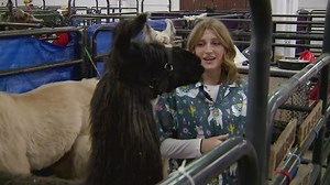 Opening Day at the National Western Stock Show