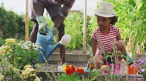 How to Propagate Succulents