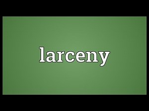 Larceny Meaning