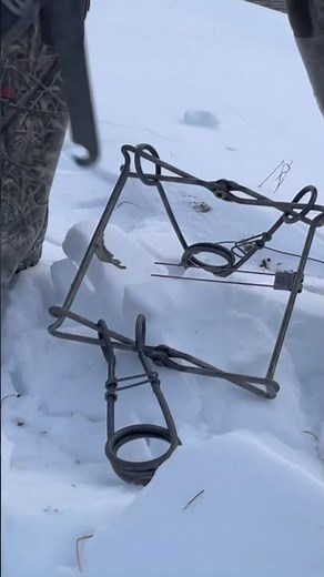 Setting up a Conibear 330 #beaver #hunting #trapping #wildlife