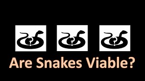 Optimizing the Snake Build